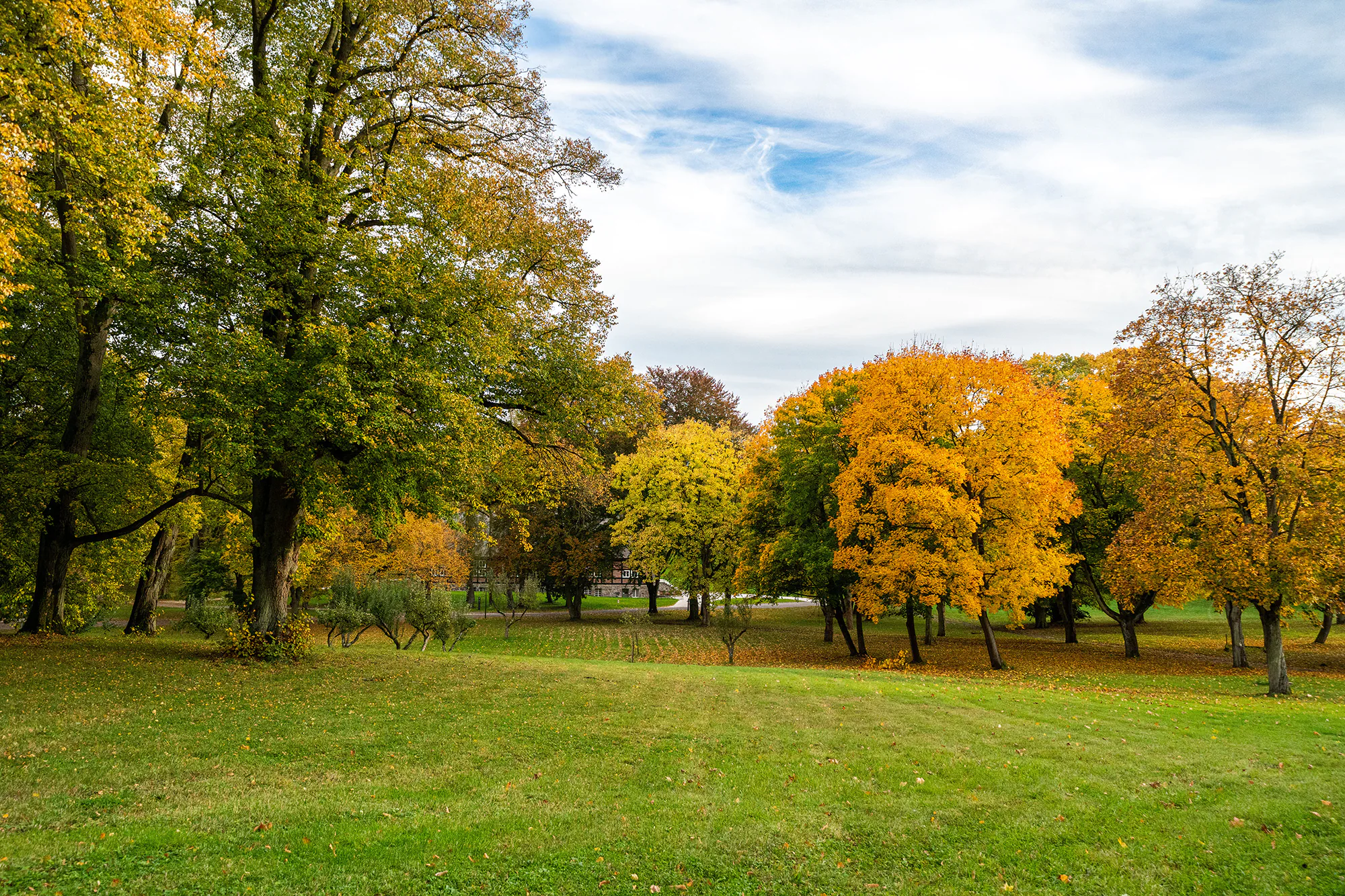 Autumn in the park by the lake