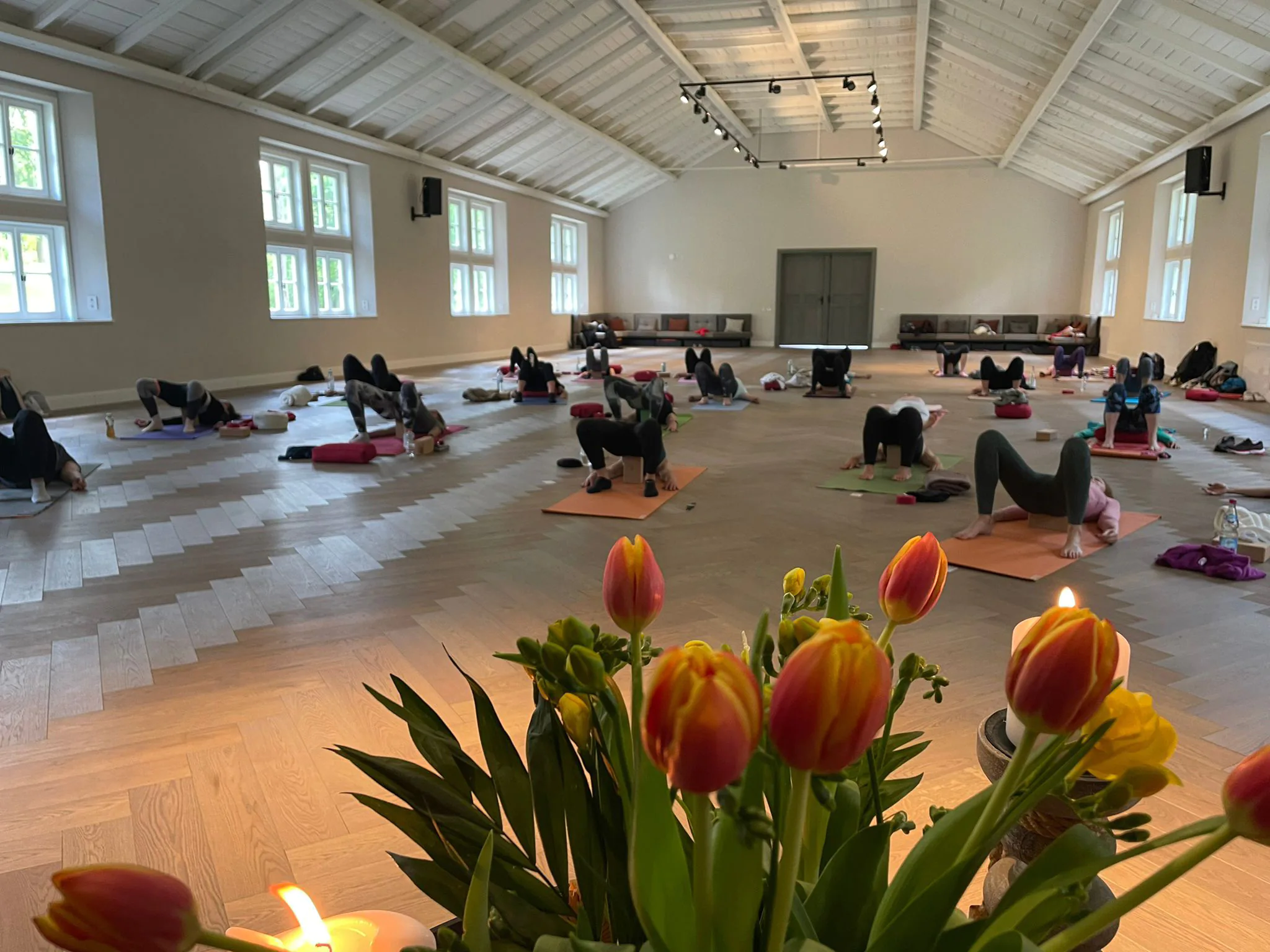 Yoga group exercises