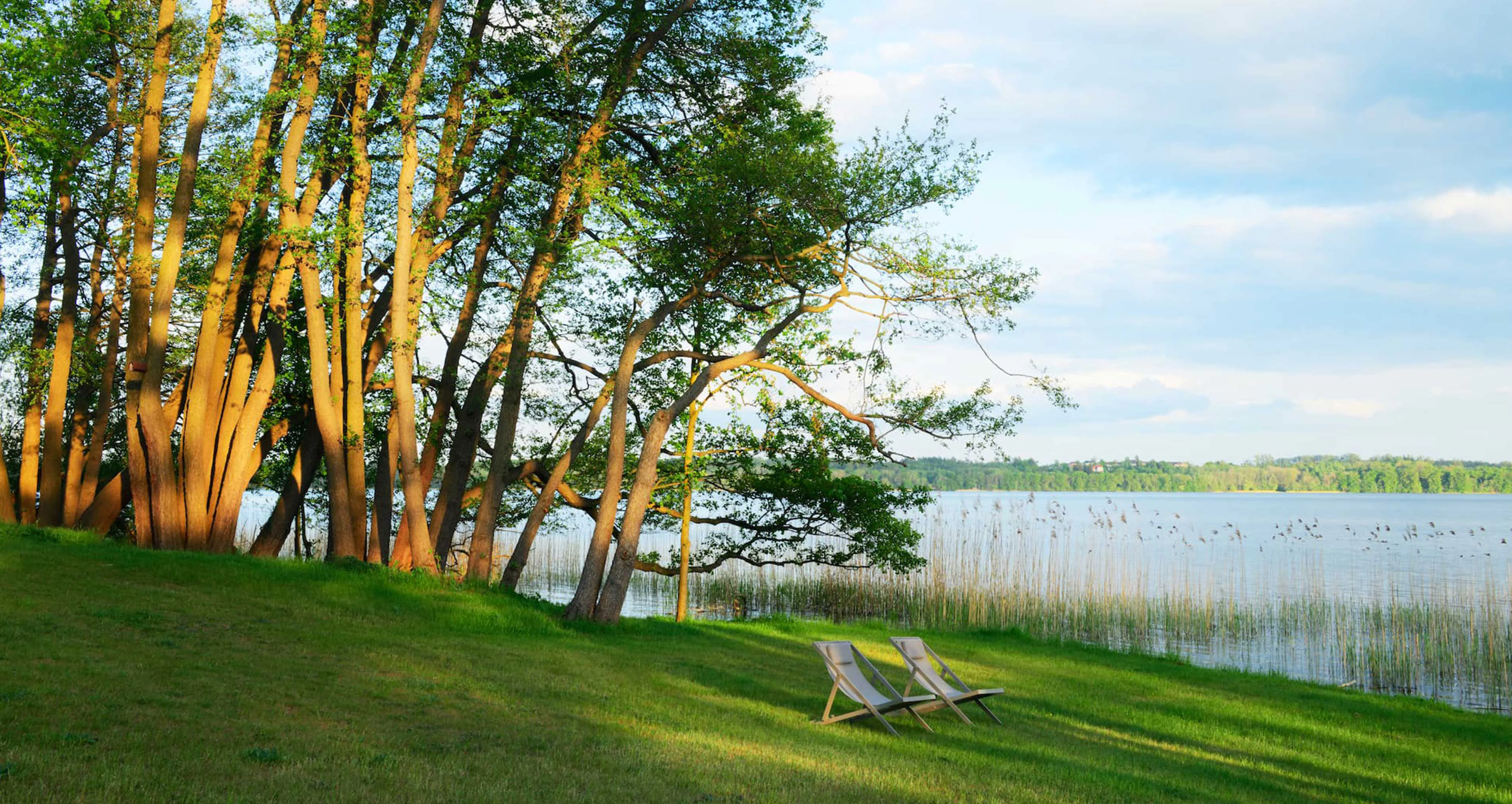 tangible essence of nature