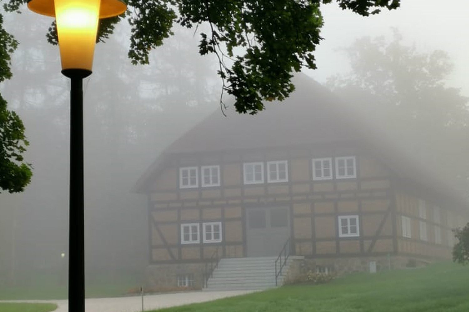 living in the park by the lake