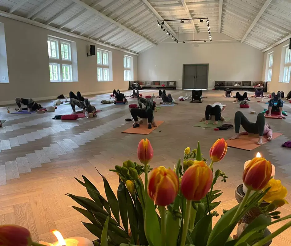 Yoga Kurs