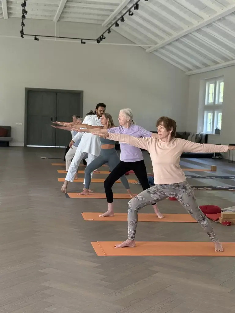 Hatha, Vinyasa oder Ashtanga